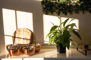 Southern Cross Lodge Methven - Methven - 6