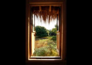 The Rabbit Tree Hostel - Gili Meno - 6