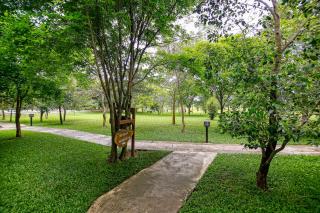 Elephas Nature Resort - 5