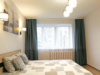 Šiauliai Central Apartment @ Trakų street - Šiauliai - 1