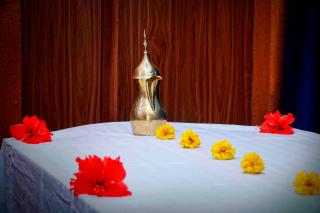 Elephas Nature Resort - 1