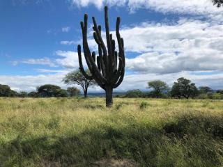 La Ceiba - San Fernando del Valle de Catamarca - 6