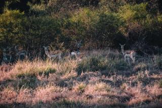 La Ceiba - San Fernando del Valle de Catamarca - 3