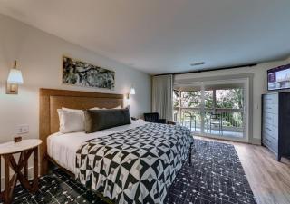 Sea Palms Resort - Saint Simons Island - 9