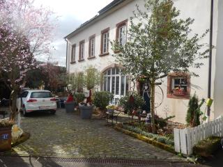 Apartment Altes Winzerhaus - Osann-Monzel - 9