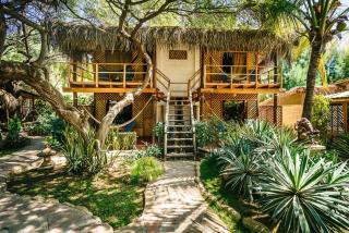 Kimbas Bungalows Mancora - Máncora - 6