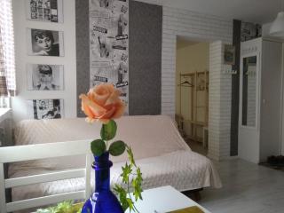 APARTAMENT JASNY NOCLEGI PŁOCK - 1