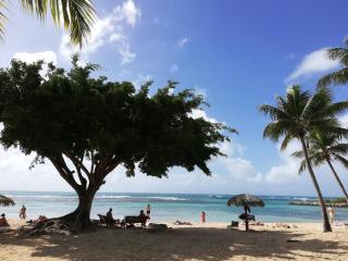 Kazanrev - Studio premium 4 personnes avec plage et piscine - Saint-François - 1