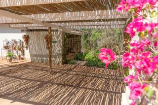 Gasteria Grange - Calitzdorp - 5