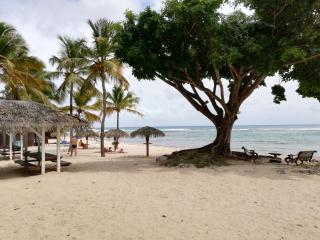 Kazanrev - Studio premium 4 personnes avec plage et piscine - Saint-François - 2