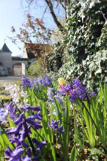 Manoir de la Foulquetiere - Luçay-le-Mâle - 6