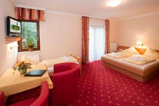 Hotel Landhof Simeter GMBH - Spittal an der Drau - 8