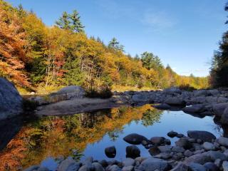 Kancamagus Swift River Inn - Albany - 8