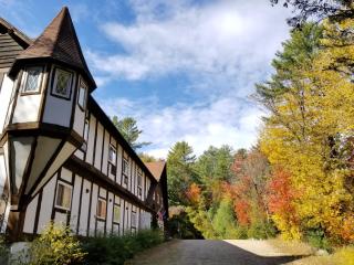 Kancamagus Swift River Inn - Albany - 9