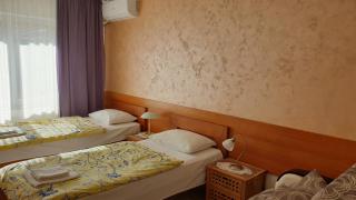 Guest House Boska - Pančevo - 7