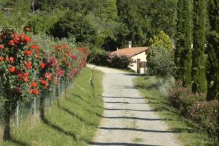 Agriturismo Fattoria Celle - Figline Valdarno - 9