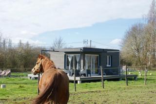Cottage tout confort au milieu des chevaux - 0