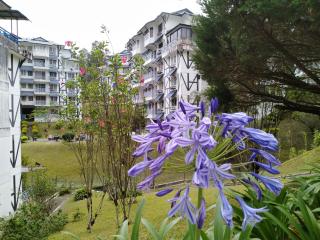 MERLIN HOME DESA ANTHURIUM - 1