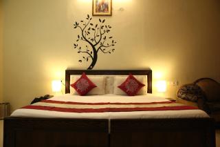 The diamond palace - Chandīgarh - 7