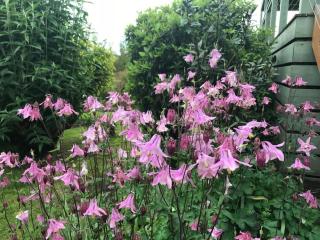 Forrest River Valley - 8