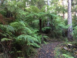 Forrest River Valley - 6