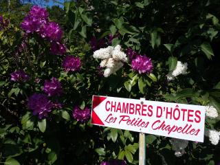 Les Petites Chapelles - Saint-Pierre-de-Plesguen - 1