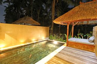 Bhanuswari Villas Ubud - Ubud - 6