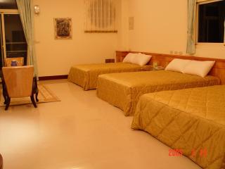 Feng Lin Homestay - Shuili - 3