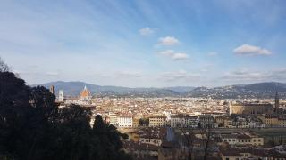 Villa Manuela Apartment - Marinella di Sarzana - 3