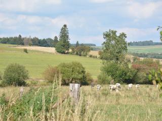 Beautiful Ardennes house in quiet area - Sainte-Ode - 2