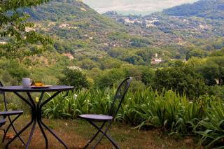 Tenuta Le Pianore - Cinigiano - 7