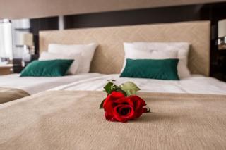 Hotel Bażantowo Sport - Kattowitz - 1