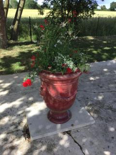 wingate cottage - 4