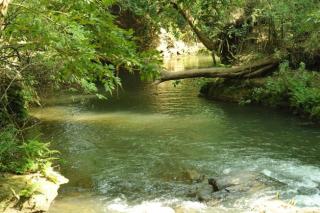 River Valley Resort - Masinagudi - 1