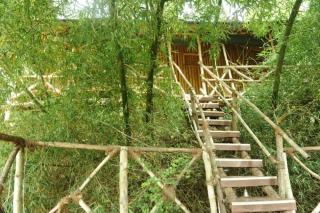 River Valley Resort - Masinagudi - 0