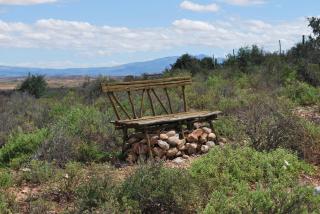 Amber Lagoon Backpackers Lodge - Vleirivier - 5