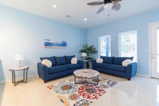 Blue Dolphin - 8