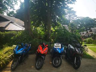 Jungle Garden - Ko Chang - 3