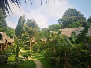 Jungle Garden - Ko Chang - 4
