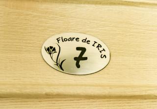 Floare de Iris - Vama Veche - 6