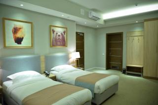 GREEN Which Hotel Kokshetau - Kökşetaw - 9