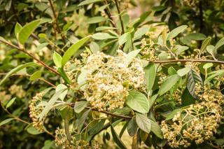 Casa Nueva Zelanda - Tandil - 4