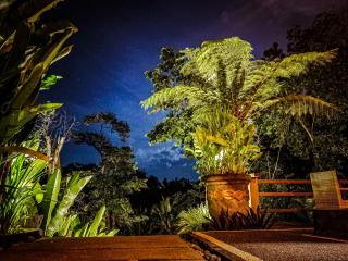 Angsoka Bungalow - Ubud - 6