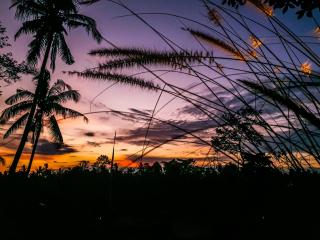 Angsoka Bungalow - Ubud - 8