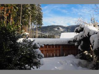 Haus Mayerbüchler - Chiemgau Karte - Inzell - 9