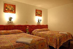 Hotel San Luis - San Cristóbal de Las Casas - 6