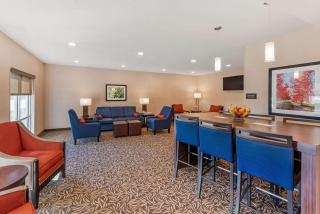 Comfort Inn & Suites near Route 66 - 6