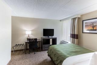 Quality Inn & Suites Plattsburgh - Plattsburgh - 2