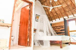Zomay Beachfront Holbox - Holbox Island - 7