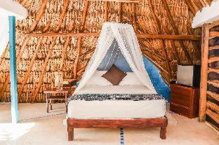 Zomay Beachfront Holbox - Holbox Island - 1